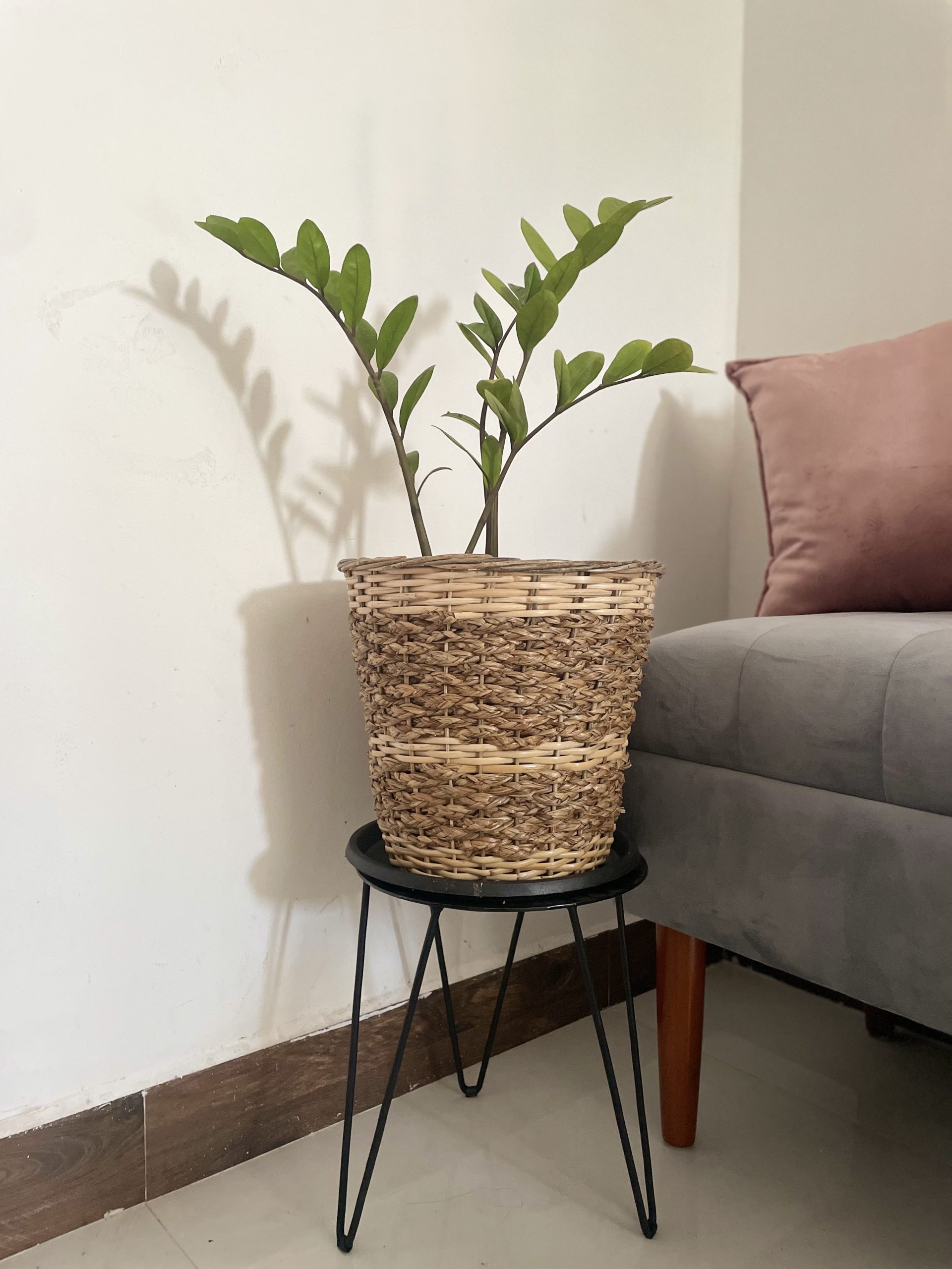 Rattan Nest