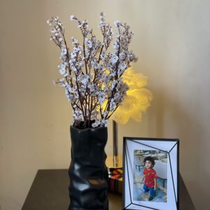 Shadow Flow Vase with Snow Bud Stem