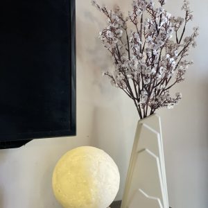 Modern Crest Vase with Snow Bud Stem