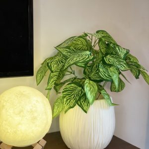 Artificial Indoor Plants
