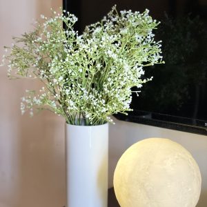 Elegant Sleek Tube Ceramic Vase (M) with 2 Baby’s Breath Bunches